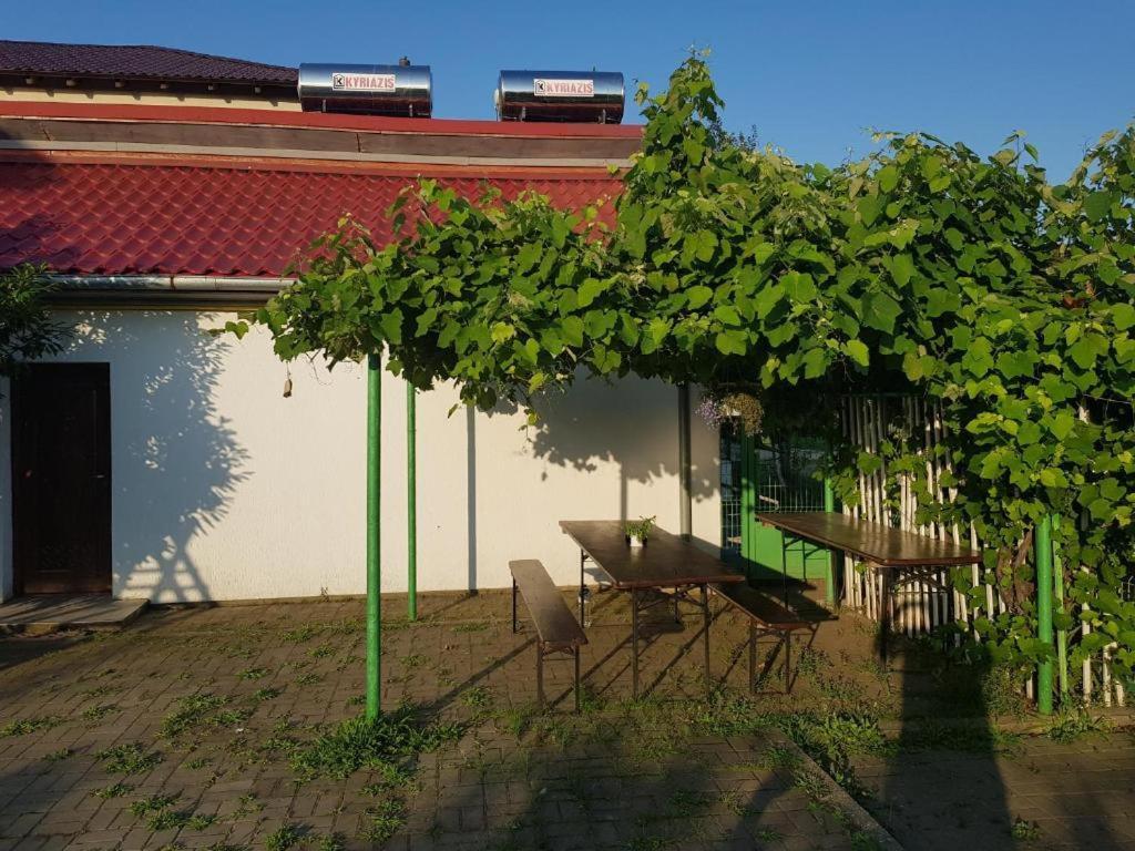 Vila Orizont Venus Luaran gambar